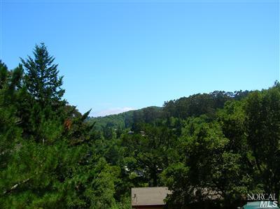 Undisclosed, Mill Valley, CA 94941 photo 13
