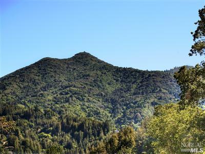 16 Spring Rd, Kentfield, CA 94904 photo 3