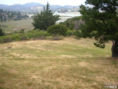 8 Ridgeview Ct, Sausalito, CA 94965 photo 4