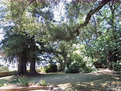 4284 Bartleson Rd, Sebastopol, CA 95472 photo 2