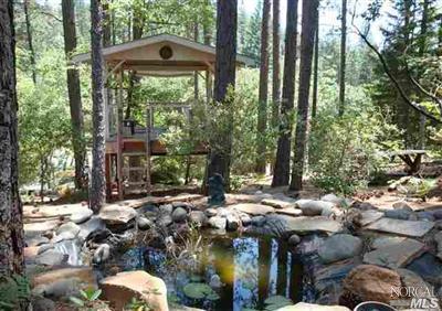 11084 Oak St, Cobb, CA 95426 photo 9