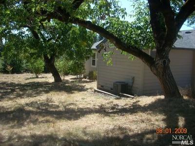 3140 Sullivan Rd, Sebastopol, CA 95472 photo 5