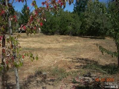 3140 Sullivan Rd, Sebastopol, CA 95472 photo 3