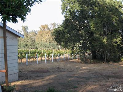 Undisclosed, Windsor, CA 95492 photo 11