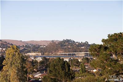 308 Richardson Ct, Mill Valley, CA 94941 photo 14