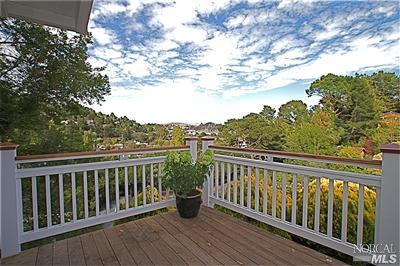 308 Richardson Ct, Mill Valley, CA 94941 photo 16