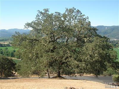 301 View Dr, Ukiah, CA 95482 photo 14