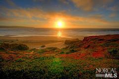 29 Ocean View Ave, Dillon Beach, CA 94929 photo 8