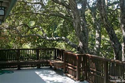 38 Birch St, Mill Valley, CA 94941 photo 14