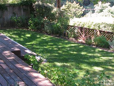 38 Birch St, Mill Valley, CA 94941 photo 5