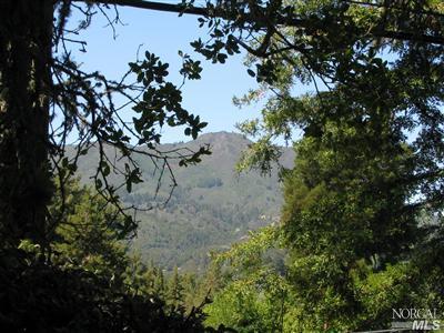 38 Birch St, Mill Valley, CA 94941 photo 17