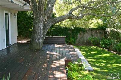 38 Birch St, Mill Valley, CA 94941 photo 11