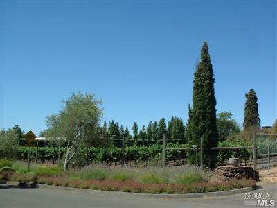 249 4th St E, Sonoma, CA 95476 photo 17