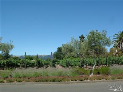 249 4th St E, Sonoma, CA 95476 photo 2
