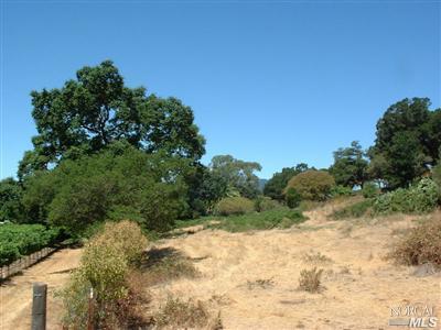 249 4th St E, Sonoma, CA 95476 photo 10