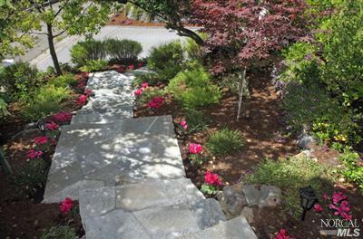 Undisclosed, Mill Valley, CA 94941 photo 14