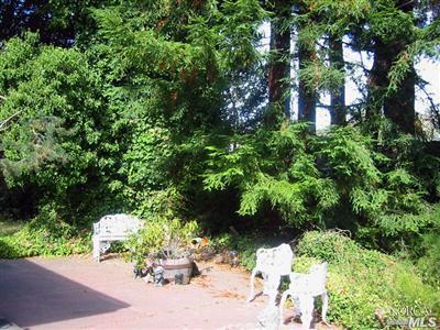 118 Reed St, Mill Valley, CA 94941 photo 3