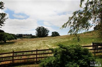 6443 Stony Point Rd, Cotati, CA 94931 photo 19
