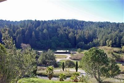 2500 Nicasio Valley Rd, Nicasio, CA 94946 photo 2