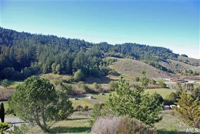 2500 Nicasio Valley Rd, Nicasio, CA 94946 photo 3