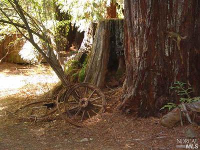 12801 Low Gap Rd, Ukiah, CA 95482 photo 1