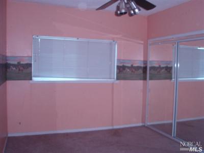 8915 Gaddini Rd, Winters, CA 95694 photo 5