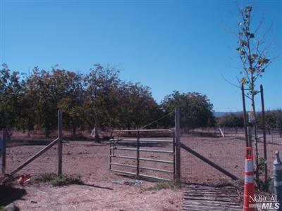 8915 Gaddini Rd, Winters, CA 95694 photo 7