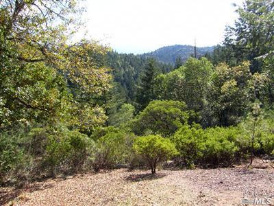Undisclosed, Willits, CA 95490 photo 12