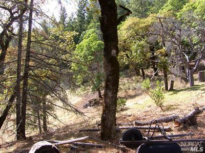 Undisclosed, Willits, CA 95490 photo 11