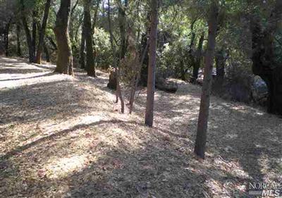 14637 Palmer Ave, Clearlake, CA 95422 photo 4