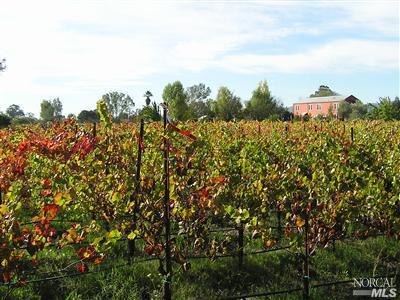 Undisclosed, Sonoma, CA 95476 photo 1