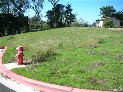 1071 Bantam Way, Petaluma, CA 94952 photo 2