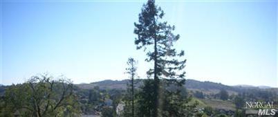 1071 Bantam Way, Petaluma, CA 94952 photo 4
