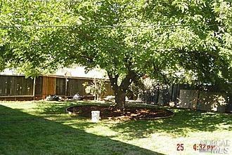 1000 Buchanan St, Fairfield, CA 94533 photo 3