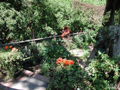 4 Spring Ln, Fairfax, CA 94930 photo 20