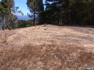 111 Taylor Rd, Tiburon, CA 94920 photo 5
