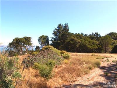 111 Taylor Rd, Tiburon, CA 94920 photo 6