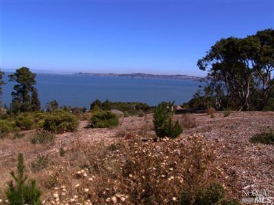 111 Taylor Rd, Tiburon, CA 94920 photo 2
