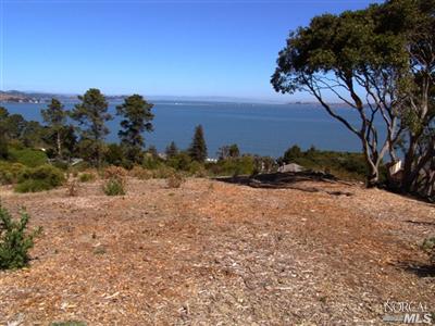111 Taylor Rd, Tiburon, CA 94920 photo 1
