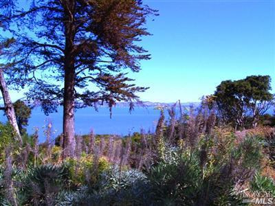 111 Taylor Rd, Tiburon, CA 94920 photo 3