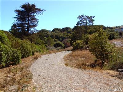 111 Taylor Rd, Tiburon, CA 94920 photo 7