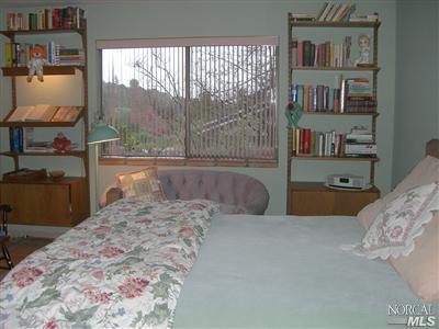 43 2nd St E, Sonoma, CA 95476 photo 10
