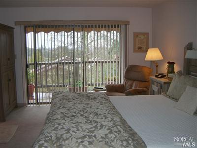43 2nd St E, Sonoma, CA 95476 photo 8
