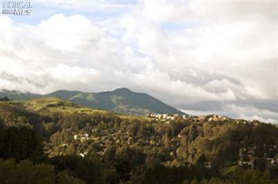 492 Live Oak Dr, Mill Valley, CA 94941 photo 9