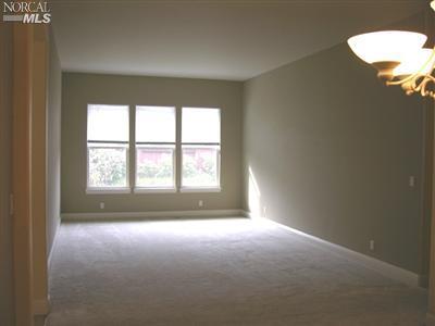 1249 Pedroncelli Dr, Windsor, CA 95492 photo 13
