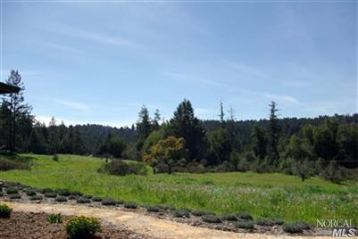 Undisclosed, Sebastopol, CA 95472 photo 16