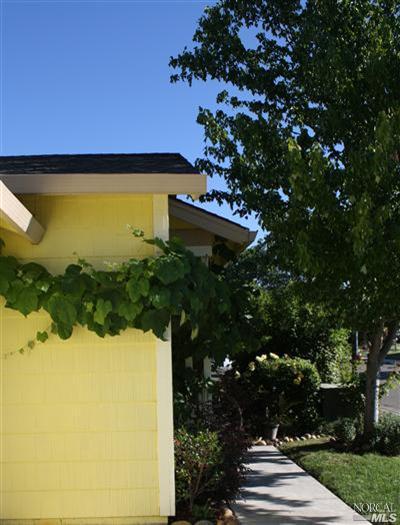 Undisclosed, Healdsburg, CA 95448 photo 2