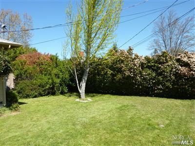 412 Luce Ave, Ukiah, CA 95482 photo 10