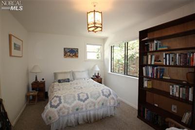 48 Hickory Rd, Fairfax, CA 94930 photo 18