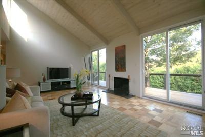 367 Carrera Dr, Mill Valley, CA 94941 photo 1